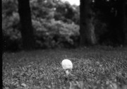 Kiev4_J8m_PolypanF50_3min_3min_in_HC100B_June_2015114.JPG Kiev4_J8m_PolypanF50_3min_3min_in_HC100B_June_2015114.JPG