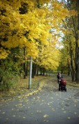LOMO_LCA-20171024-011.jpg LOMO_LCA-20171024-011.jpg