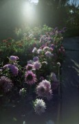 LOMO_LCA-20171024-019.jpg LOMO_LCA-20171024-019.jpg