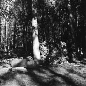 Lubitel2_GP3_100_HC110B_Aprl2015292.JPG Lubitel2_GP3_100_HC110B_Aprl2015292.JPG