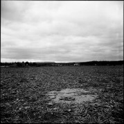 Lubitel2_GP3_100_HC110B_Aprl2015295.JPG Lubitel2_GP3_100_HC110B_Aprl2015295.JPG