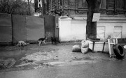 Negative0-17-18_1_-1.jpg