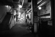 NiccaIIIaJ12HP52020_22_.jpg NiccaIIIaJ12HP52020_22_.jpg
