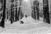 Scan-180126-0024.jpg