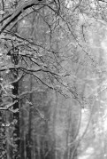 Scan-180126-0026.jpg