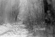 Scan-180126-0028.jpg