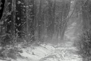 Scan-180126-0029.jpg