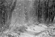 Scan-180126-0030.jpg