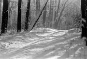 Scan-180126-0032.jpg