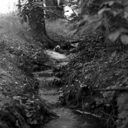 Scan-180623-0008.jpg