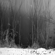 SemStudio-20160103-005.jpg