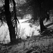 SemStudio-20160103-006.jpg