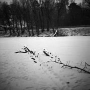 SemStudio-20160103-007.jpg