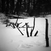 SemStudio-20160103-008.jpg