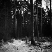 SemStudio-20160103-012.jpg