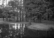 YashicaSamurai3-Lucky-D23-20240821-036.jpg YashicaSamurai3-Lucky-D23-20240821-036.jpg