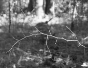 YashicaSamuraiX3-Lucky-D23-20240518-006.jpg