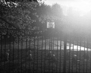 YashicaSamuraiX3-Lucky-D23-20240518-036.jpg YashicaSamuraiX3-Lucky-D23-20240518-036.jpg