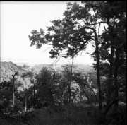 img01513.jpg img01513.jpg