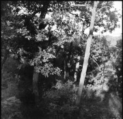 img01616.jpg img01616.jpg