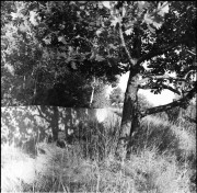 img01710.jpg img01710.jpg