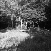 img02113.jpg