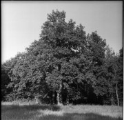 img02212.jpg img02212.jpg