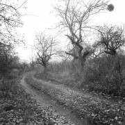 img5613.jpg img5613.jpg