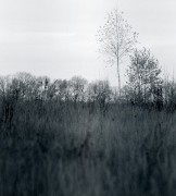 img5986.jpg