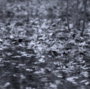 img6001.jpg img6001.jpg