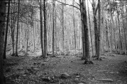 001908040031-1-res.jpg 001908040031-1-res.jpg