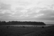 001908050024-1-comp.jpg