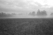 001908050026-1-comp.jpg