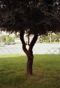 01166.jpg 01166.jpg