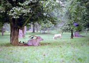 210101.jpg 210101.jpg
