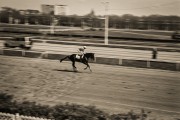 29473-3.jpg 29473-3.jpg