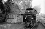 41087.jpg