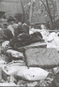 4543.jpg 4543.jpg