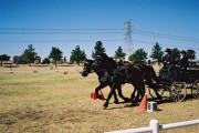 F1010017.JPG F1010017.JPG