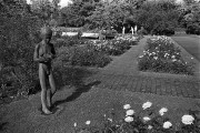 Foma-Rodinal265.jpg Foma-Rodinal265.jpg