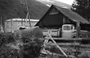 IMG06177w.jpg