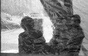 IMG503_.jpg