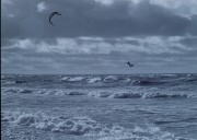 IMG_9724_ed2.jpg IMG_9724_ed2.jpg