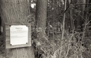 Olympus_XA_Kentmere_400_May_2013503-1.jpg