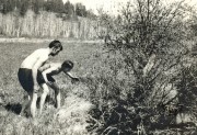 Untitled-5.jpg