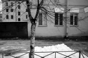 P1011287.JPG