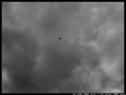 xeto2006b0506.jpg