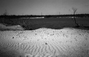 IMG16.jpg
