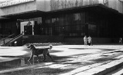 AgfaSilette-Solagon-aviphot200-20250606-023.jpg AgfaSilette-Solagon-aviphot200-20250606-023.jpg