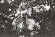 000013_23.JPG 000013_23.JPG
